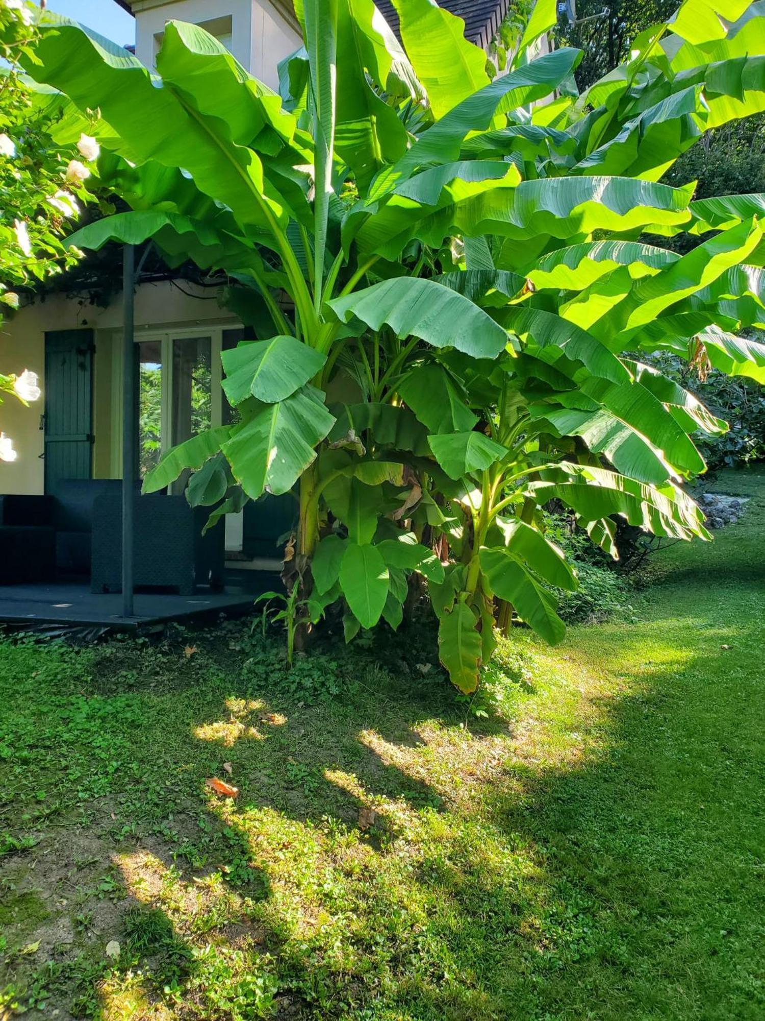 Belle Maison Sud Seine-Et-Marne Rubelles Kültér fotó